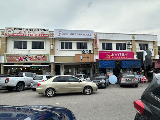 ELEGANT 9 HAIR HOUSE