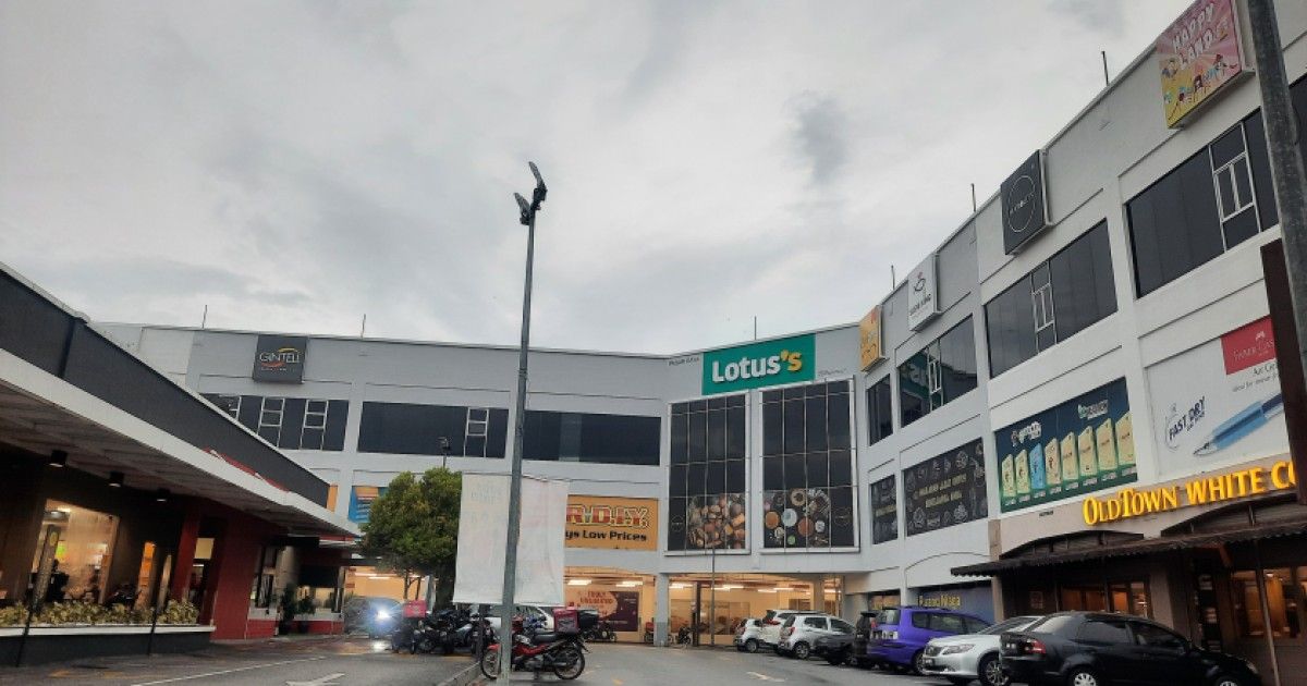 Gambar Lotus di Teluk Intan – Keindahan Pemandangan Tropika