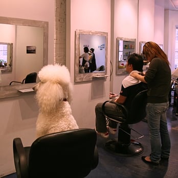 Gosip Panas: Trend Rambut Terbaru di Salon Hair Gossip