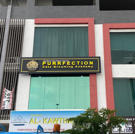 Purrfection Catz Grooming Academy – Akademi Penjagaan Kucing Profesional, Tips & Teknik Grooming Terbaik