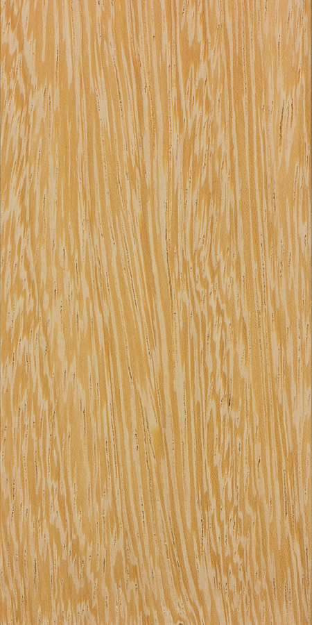 Foto Lati: Keindahan Alam Semula Jadi & Aktiviti Menarik di Lati