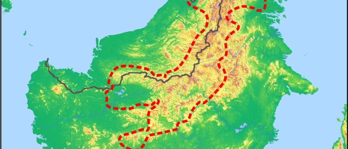 Borneo HairPort: Gaya Rambut Eksklusif di Hutan Tropika Borneo